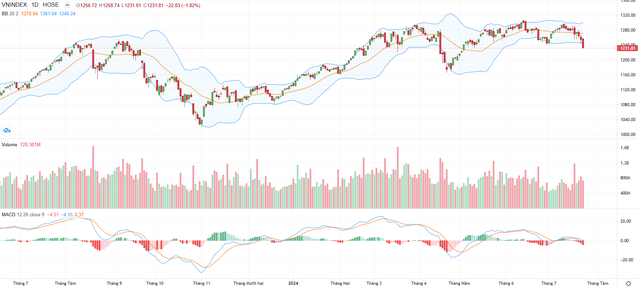 Biểu đồ kỹ thuật VN-Index.