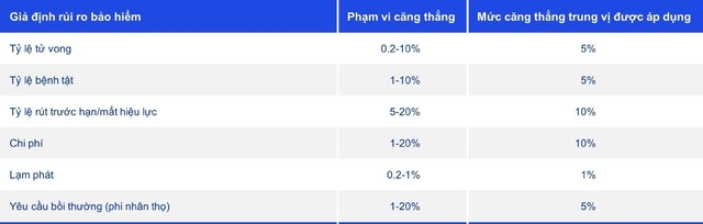 Thuyết minh về phân tích độ nhạy và rủi ro thị trường: