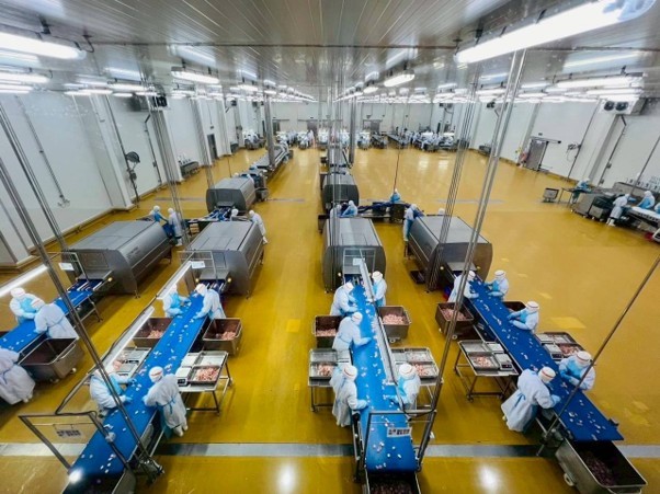 Chuỗi sản xuất, chế biến gà tại Tổ hợp CPV Food Bình Phước Chuỗi sản xuất, chế biến gà tại Tổ hợp CPV Food Bình Phước
