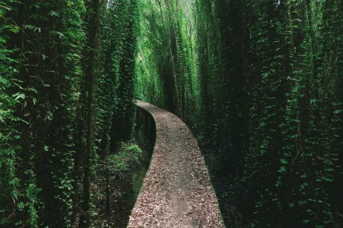 3 gợi ý 'đi trốn' giữa thiên nhiên ngay gần Sài Gòn ảnh 5