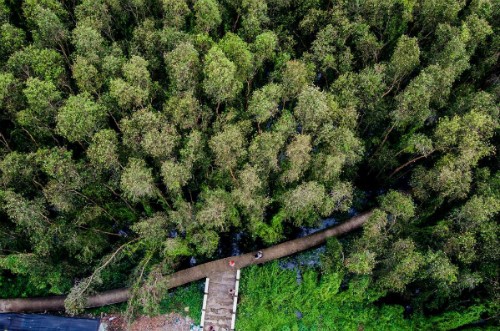 3 gợi ý 'đi trốn' giữa thiên nhiên ngay gần Sài Gòn ảnh 7