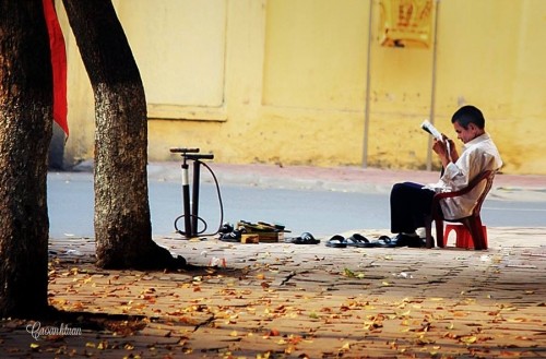 Tháng 8 mùa thu, lá khởi vàng chưa nhỉ..? ảnh 15