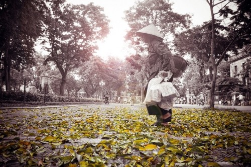 Tháng 8 mùa thu, lá khởi vàng chưa nhỉ..? ảnh 19