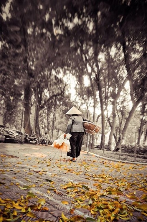 Tháng 8 mùa thu, lá khởi vàng chưa nhỉ..? ảnh 20