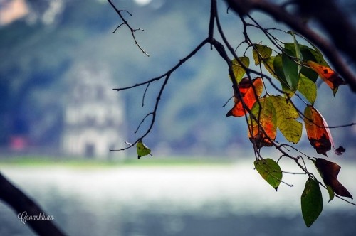 Tháng 8 mùa thu, lá khởi vàng chưa nhỉ..? ảnh 2