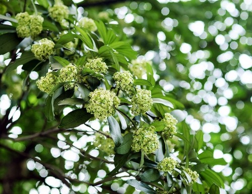 Tổng hợp những điểm du lịch lý tưởng cho mùa thu ảnh 3