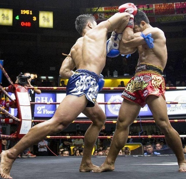 Những đòn chỏ hết sức lợi hại khi đánh cận chiến.