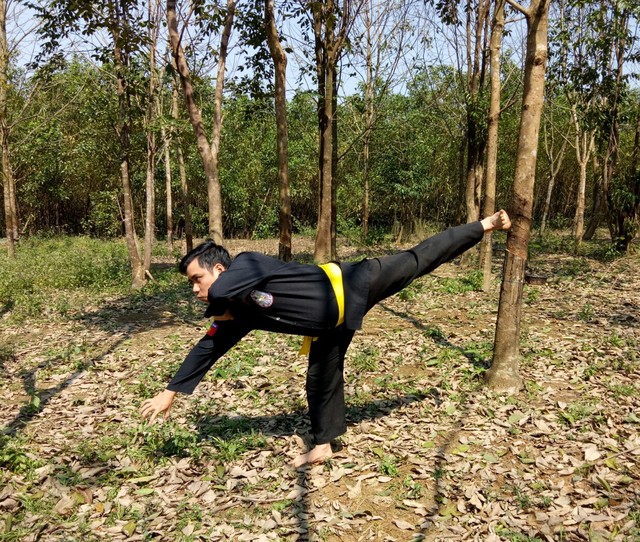 Tản mạn về chó và tượng hình trong võ thuật ảnh 2