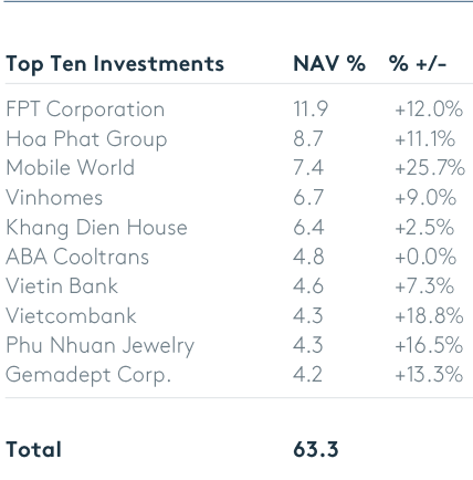 Top 10 khoản đầu tư chiếm tỷ trọng lớn nhất danh mục của Vietnam Holding