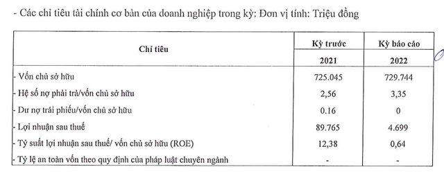 Các chỉ tiêu cơ bản của Đầu tư Con Cưng năm 2022 Các chỉ tiêu cơ bản của Đầu tư Con Cưng năm 2022
