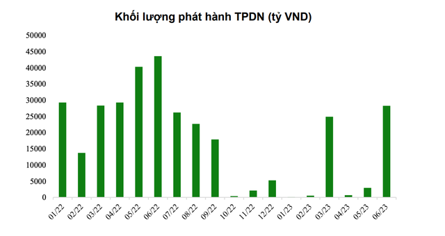 Lượng phát hành trái phiếu doanh nghiệp qua các tháng kể từ đầu năm 2022 tới nay