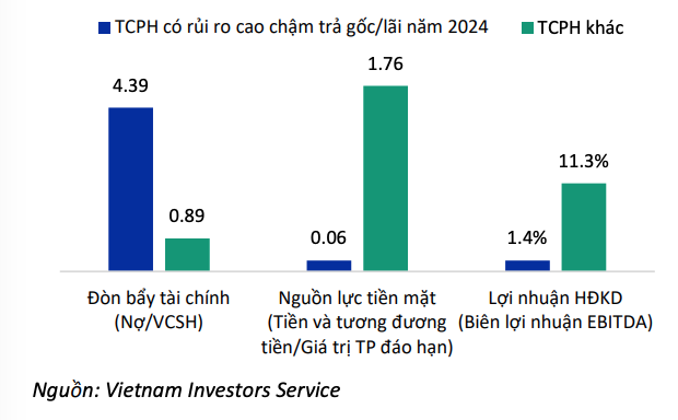 Các tổ chức phát hành có rủi ro cao trong năm 2024 đều có tình hình tài chính yếu kém hơn rất nhiều so với các tổ chức phát hành khác