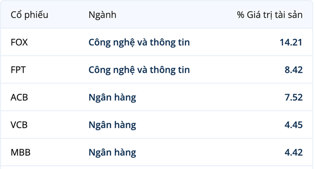 Top 5 cổ phiếu chiếm tỷ trọng lớn nhất danh mục đầu tư của VMEEF