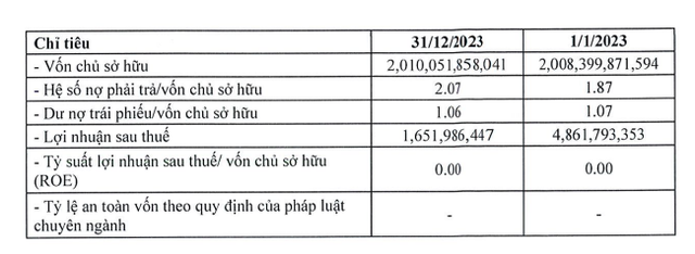 Thông tin tình hình tài chính của Hưng Vượng Developer
