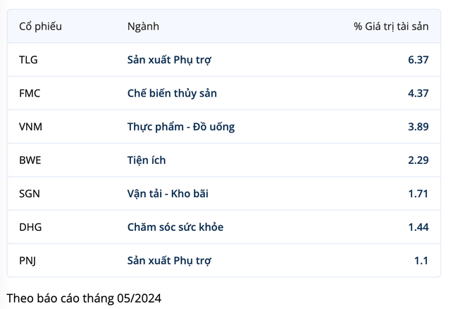 Danh mục cổ phiếu của TBLF tính tới cuối tháng 5