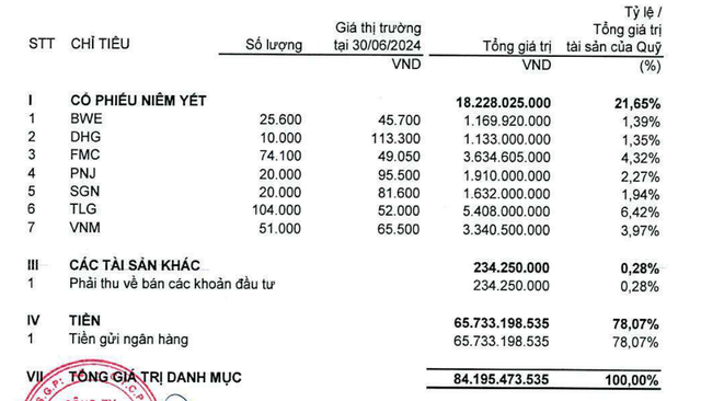 Cơ cấu tài sản đầu tư của TBLF
