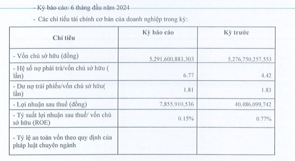 Thông tin tài chính của Hano-vid nửa đầu năm 2024