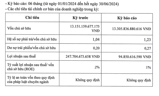 Tình hình tài chính của Đầu tư Nam Long nửa đầu năm 2024