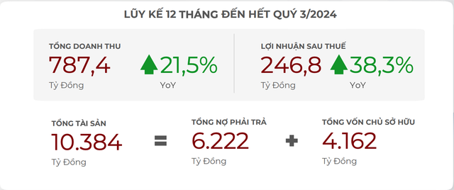 Tổng quan tài chính của DNSE