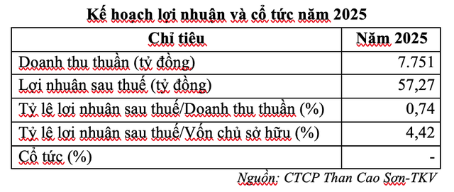 Kế hoạch năm 2025 của CST Kế hoạch năm 2025 của CST