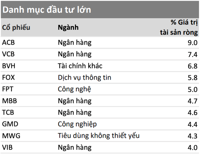 Danh mục đầu tư của VMEEF tính tới cuối tháng 2/2025