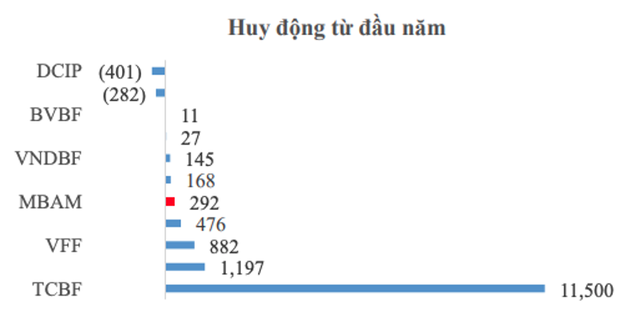 Tình hình huy động vốn năm 2024 của các quỹ trái phiếu trên thị trường