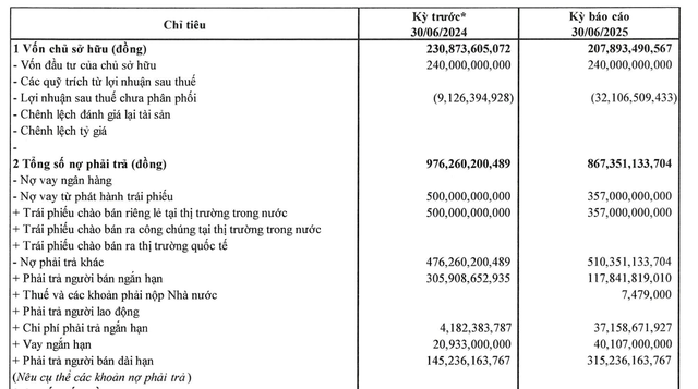 Một số thông tin tài chính trong kỳ báo cáo nửa đầu năm 2025 được Công ty công bố