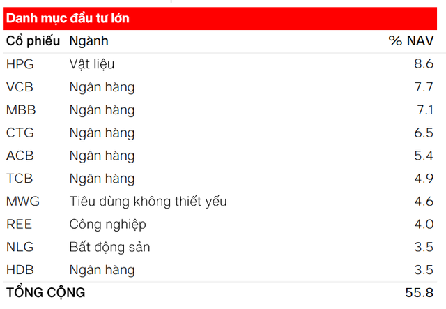 Top 10 khoản đầu tư lớn nhất danh mục của VMEEF Top 10 khoản đầu tư lớn nhất danh mục của VMEEF