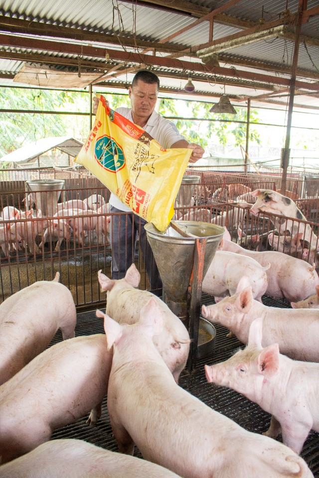 Masan nhận thêm khoản đầu tư khủng 250 triệu USD từ KKR, tăng tốc hoàn thiện chuỗi cung ứng thịt ảnh 1