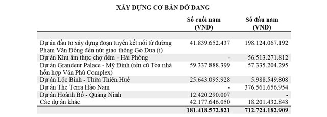 Văn Phú - Invest: Doanh thu và lợi nhuận 2019 tăng mạnh ảnh 3