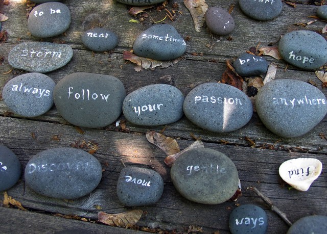 “Toa thuốc” thành công: Thích làm gì, cứ làm! ảnh 3