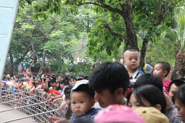  Xung quanh các chuồng nuôi nhốt thú luôn trong tình trạng quá tải. 