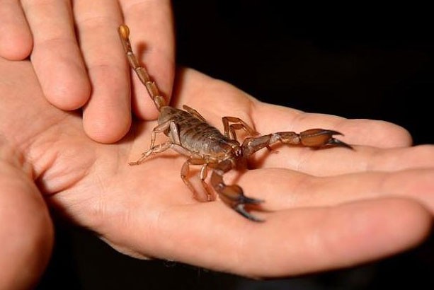 Những vụ bê bối gây chấn động của ngành hàng không Mỹ đầu năm 2017 ảnh 11