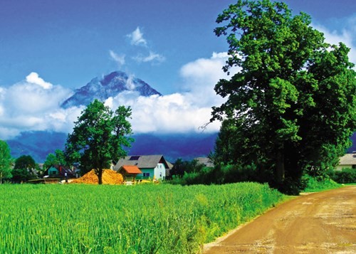 Bình yên Slovenia ảnh 8