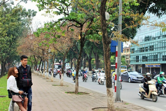 “Săn” những điểm chụp ảnh cực phong cách tại Hà Nội ảnh 11