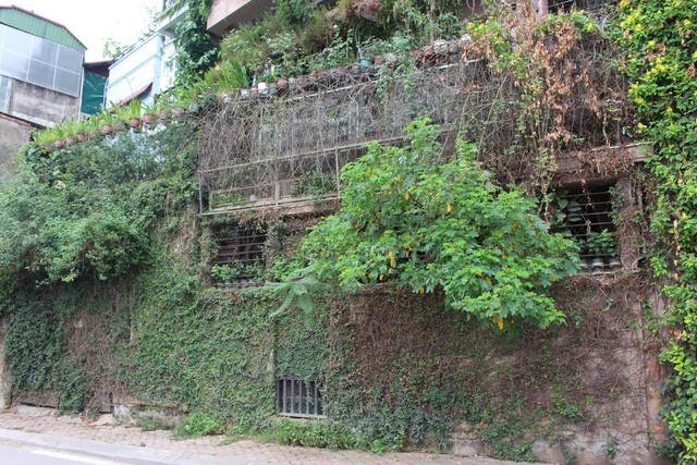 “Săn” những điểm chụp ảnh cực phong cách tại Hà Nội ảnh 13