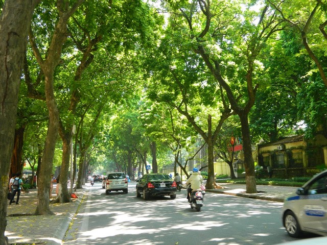 “Săn” những điểm chụp ảnh cực phong cách tại Hà Nội ảnh 7