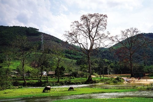 Chốn bồng lai tiên cảnh Tà Xùa ảnh 7
