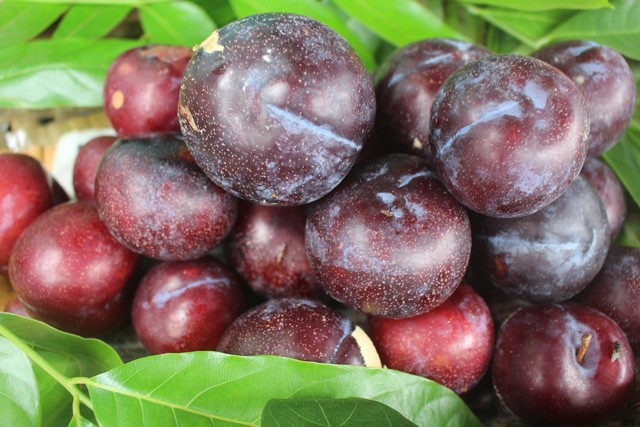 “Đội lốt” hàng Việt, đào, mận Trung Quốc tràn ngập phố ảnh 2