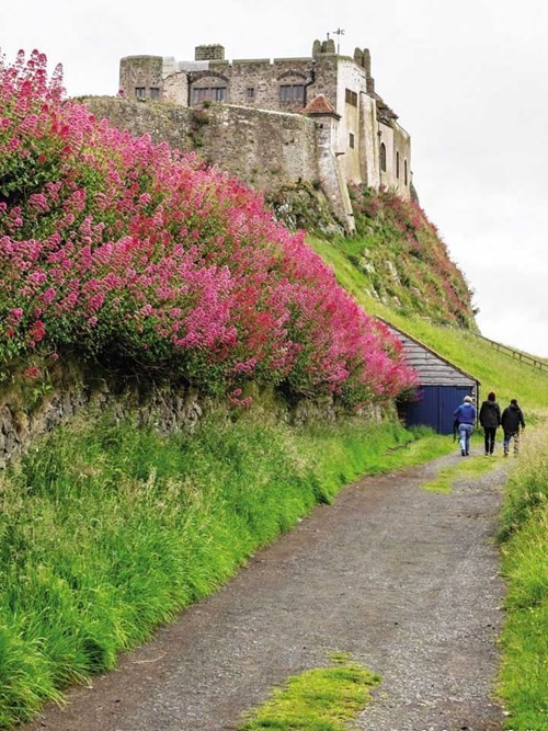 Những nẻo đường ngày hè ở Anh ảnh 7