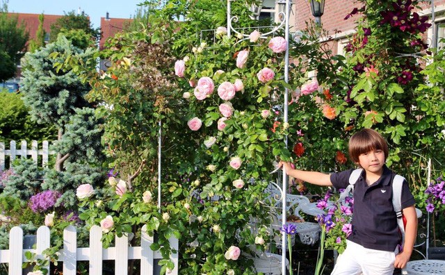 Khu vườn tràn ngập sắc hoa, đẹp như cổ tích của mẹ Việt ở Hà Lan ảnh 13