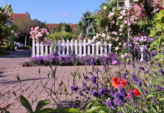 Khu vườn tràn ngập sắc hoa, đẹp như cổ tích của mẹ Việt ở Hà Lan ảnh 14