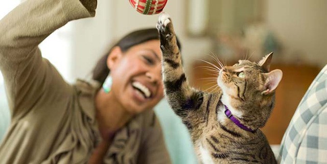 7 bệnh bạn có thể bị lây từ thú cưng ảnh 1