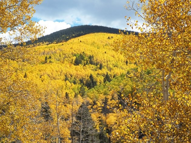 15 chuyến đi dành cho cặp đôi trong mùa Thu này ảnh 11