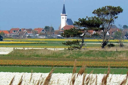 Wadden - vùng biển “kỳ lạ” của Hà Lan ảnh 1