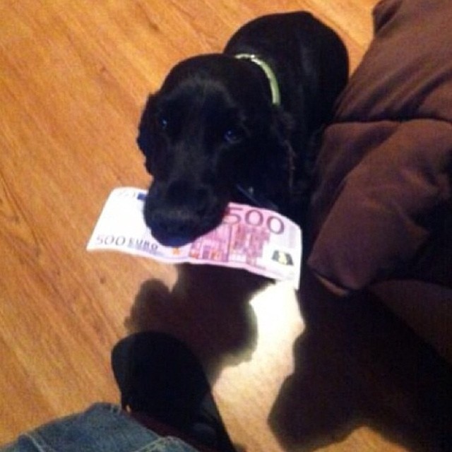 Hội cha mẹ giàu khoe cuộc sống vương giả ảnh 7