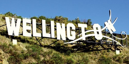 Wellington - thủ đô lộng gió của thế giới ảnh 5