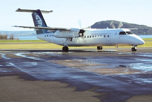 Wellington - thủ đô lộng gió của thế giới ảnh 1