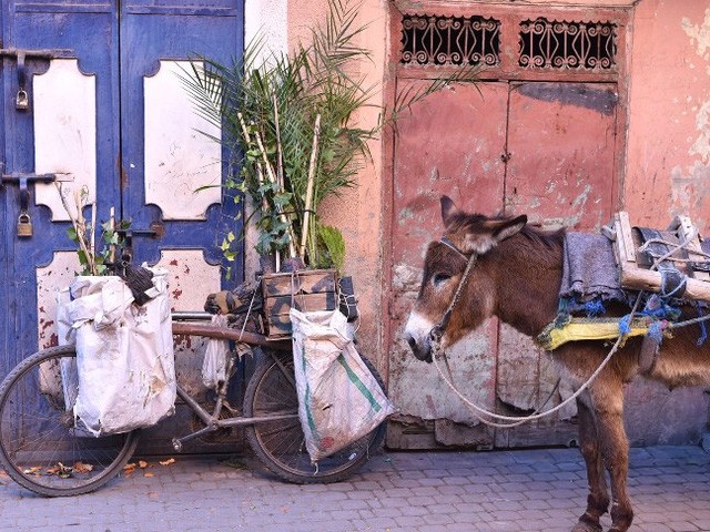 8 thành phố xinh đẹp nơi vắng mặt những chiếc xe ô-tô ảnh 8