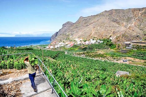 Những cung đường ngoạn mục trên đảo Tenerife ảnh 4